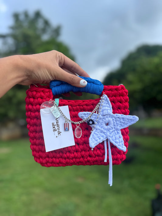 Boricua Bag 🌺🇵🇷
