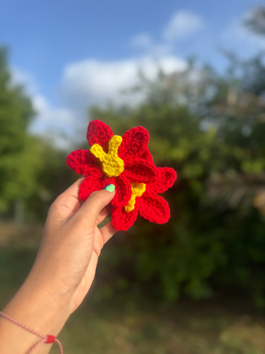 🌺
